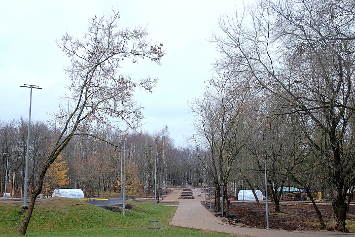 В парке имени Кирова взамен аварийных деревьев высадят в 6 раз больше новых 